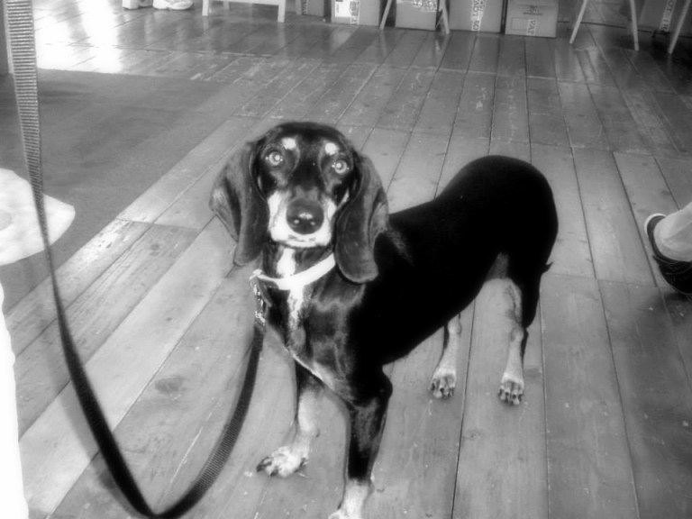 1174974_570525113002343_207632589_n