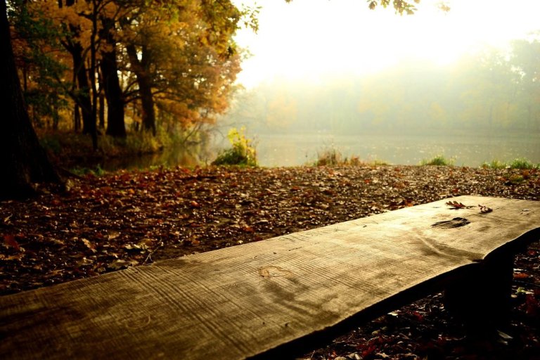 alone__without_love____by_maras94-d4eb8qc