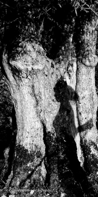 102546671-e62d476c-b47a-4176-a505-53492545a0ef