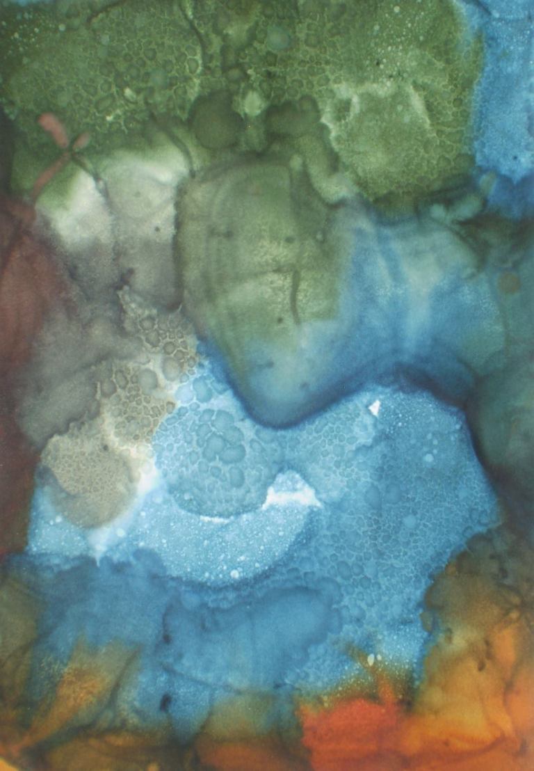 10358917_663022577125624_8036943440245466524_o