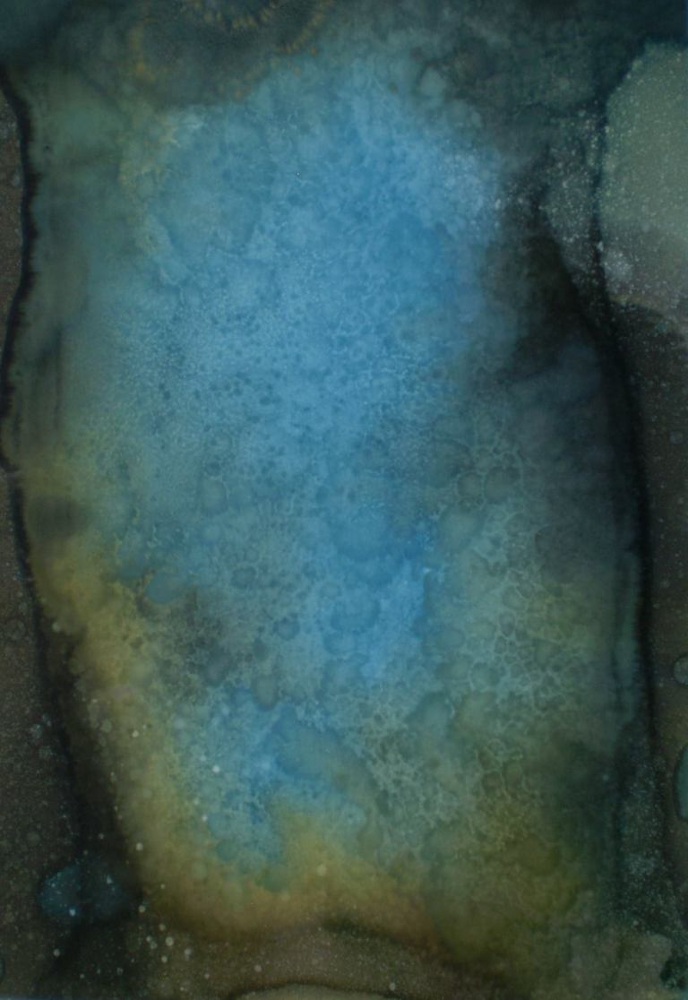 10470161_663022777125604_6308558186385430626_o