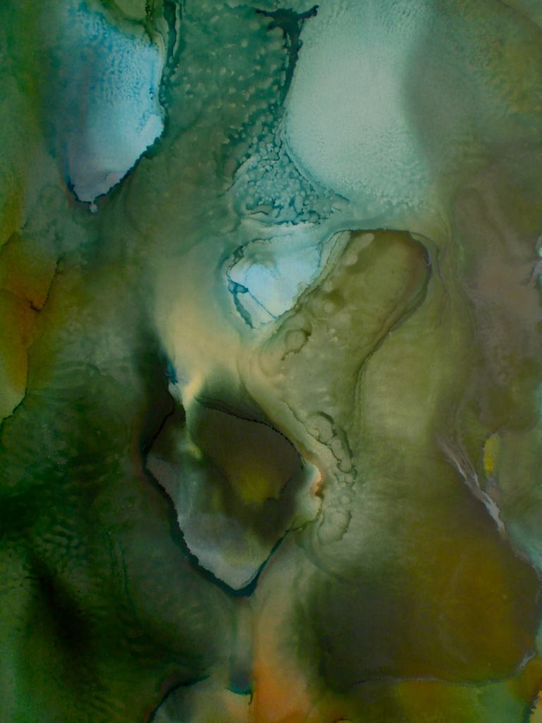 10547839_705183766242838_2781593721901243516_o