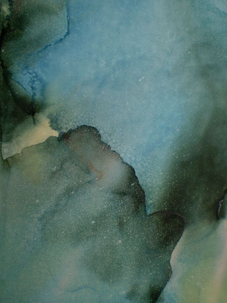 10669064_705183202909561_2442686250759292187_o