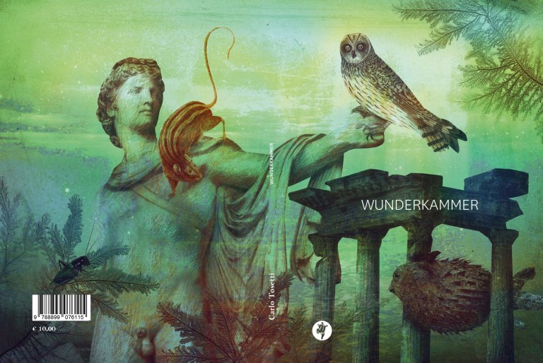 copertina_wunderkammer_b1, rid