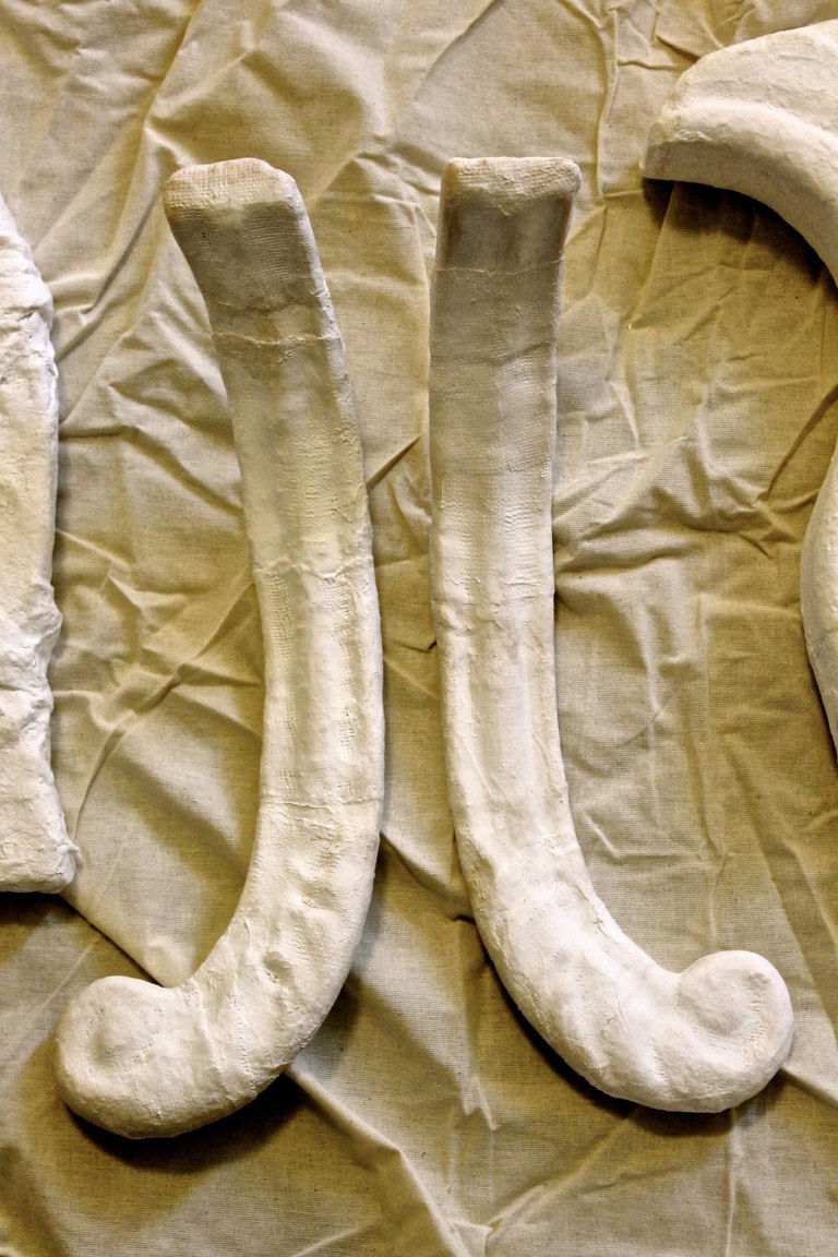 14407872_1545018885523787_1372451386_o