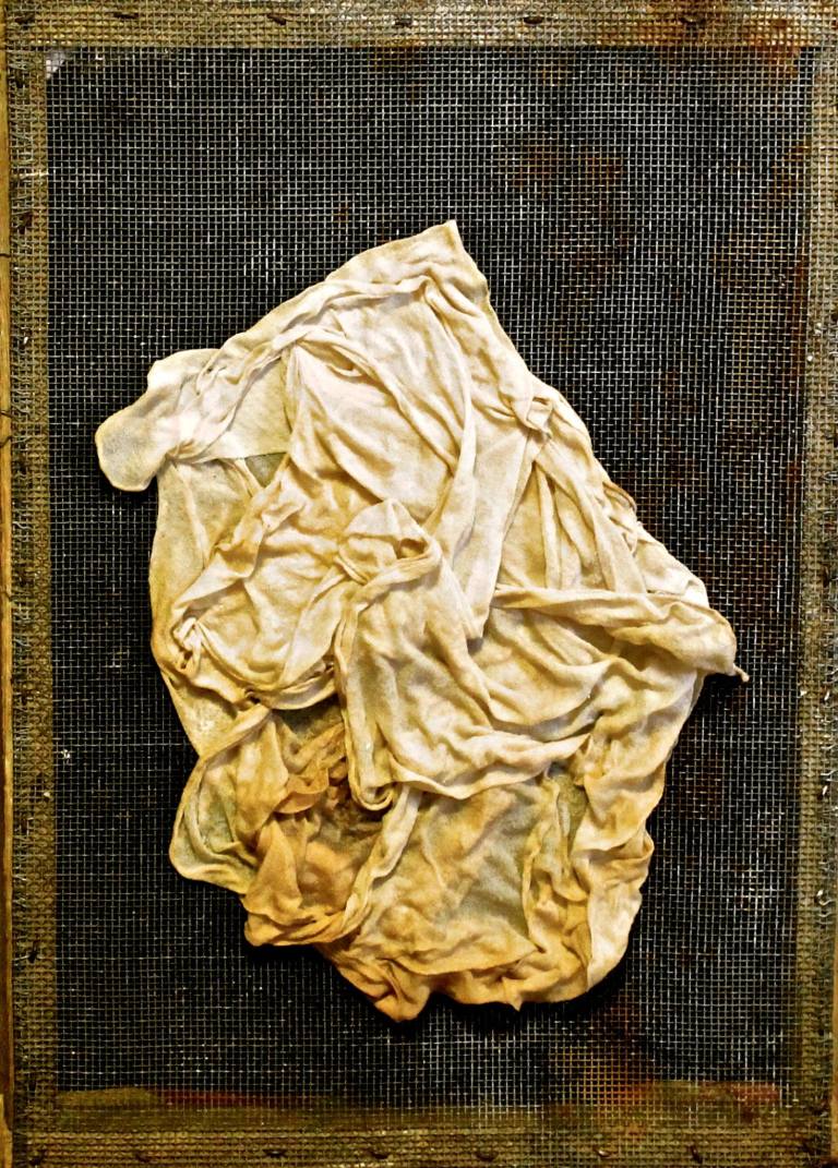 14466189_1545027312189611_640781912_o